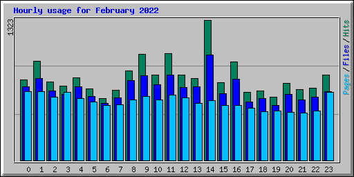 Hourly usage for February 2022