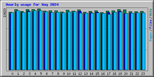 Hourly usage for May 2024